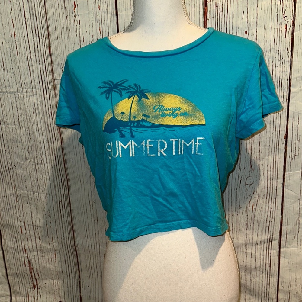 American Eagle Outfitters Blue Graphic Crop Tee Short Sleeve